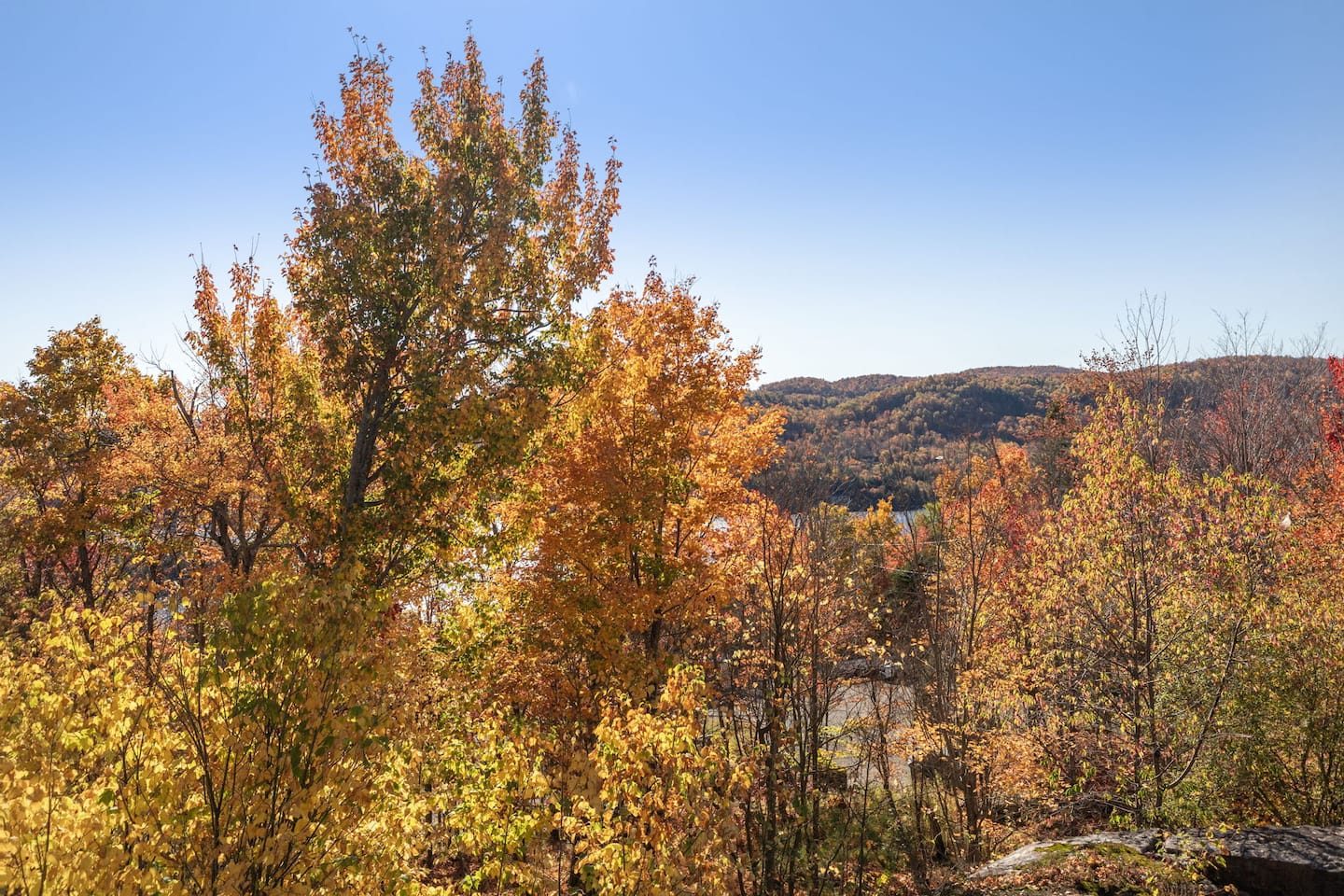 Laurentian views
